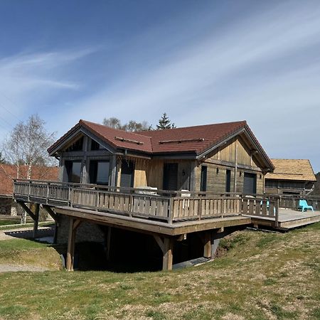 L'Adret Du Temps Chalet 10 Personnes 170M2 Gerardmer Exterior photo