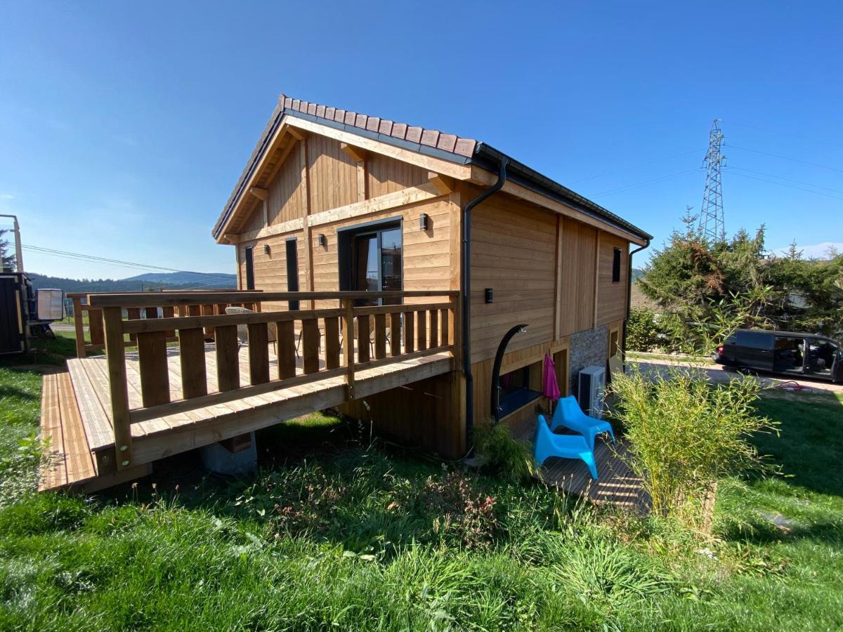 L'Adret Du Temps Chalet 10 Personnes 170M2 Gerardmer Exterior photo